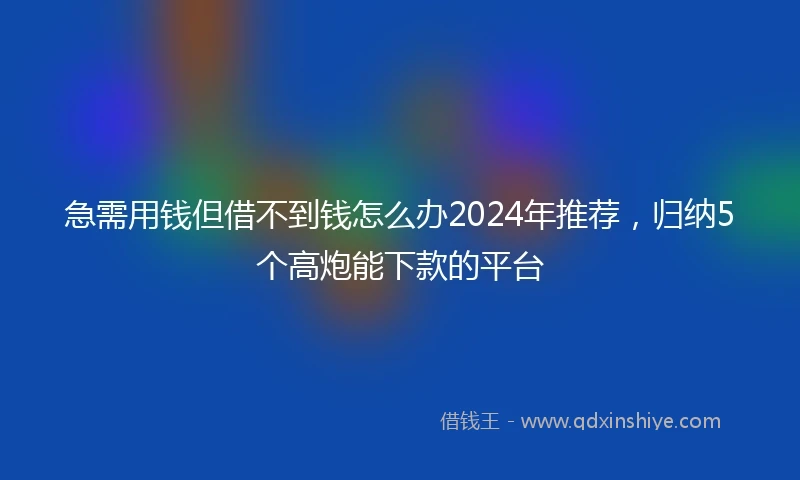 急需用钱但借不到钱怎么办2024年推荐，归纳5个高炮能下款的平台