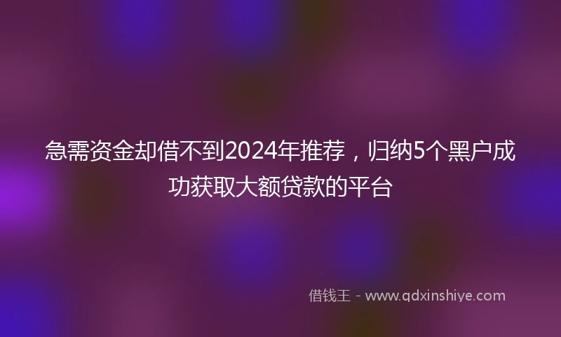 急需资金却借不到2024年推荐，归纳5个黑户成功获取大额贷款的平台