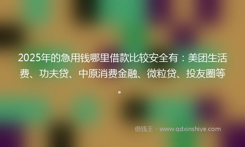 2025年的急用钱哪里借款比较安全有：美团生活费、功夫贷、中原消费金融、微粒贷、投友圈等。