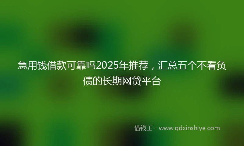 急用钱借款可靠吗2025年推荐，汇总五个不看负债的长期网贷平台
