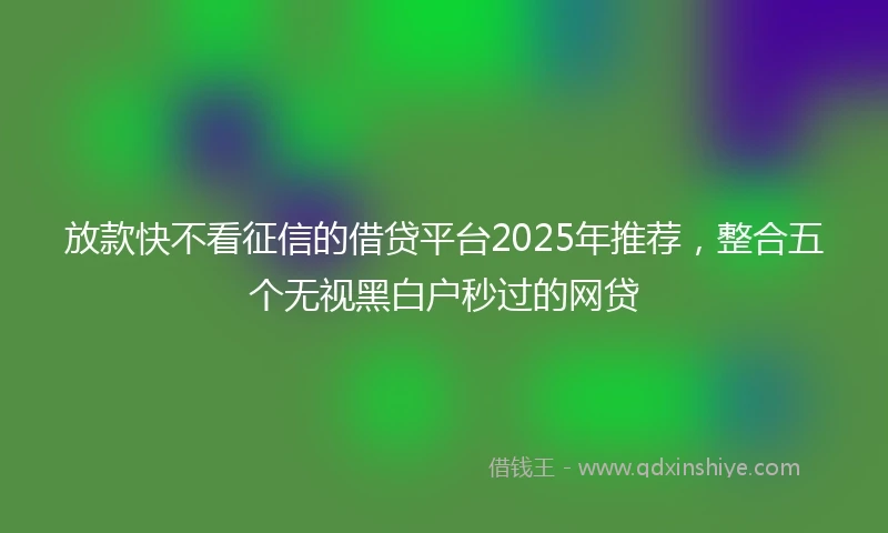 放款快不看征信的借贷平台2025年推荐，整合五个无视黑白户秒过的网贷