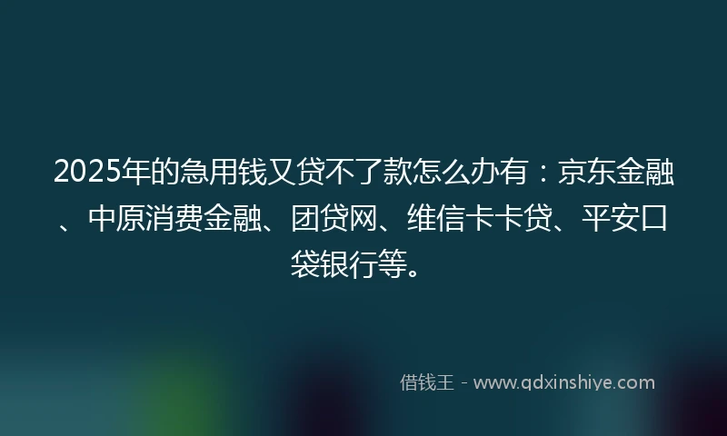 2025年的急用钱又贷不了款怎么办有：京东金融、中原消费金融、团贷网、维信卡卡贷、平安口袋银行等。