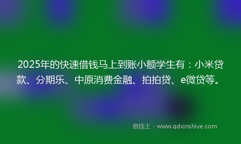 2025年的快速借钱马上到账小额学生有:小米贷款、分期乐、中原消费金融、拍拍贷、e微贷等。