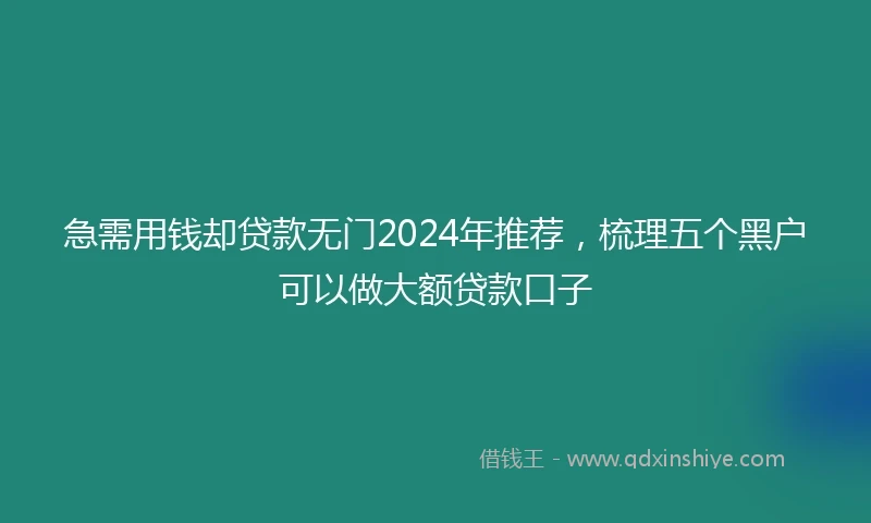 急需用钱却贷款无门2024年推荐，梳理五个黑户可以做大额贷款口子