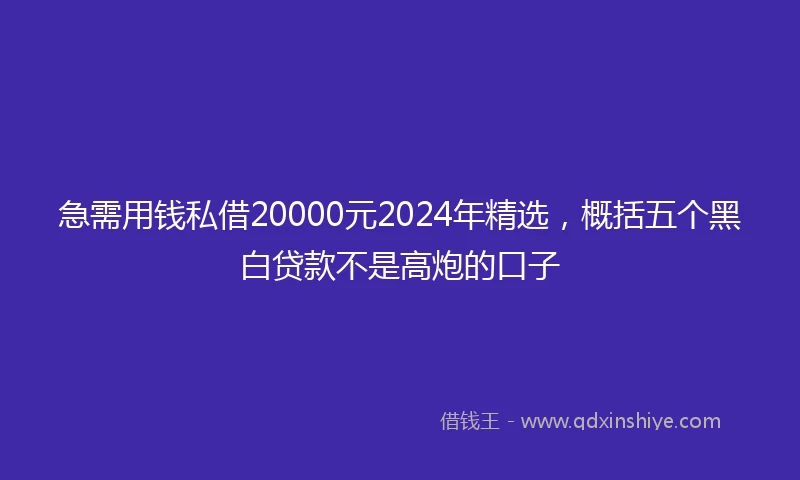 急需用钱私借20000元2024年精选，概括五个黑白贷款不是高炮的口子