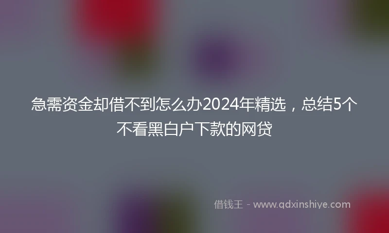 急需资金却借不到怎么办2024年精选，总结5个不看黑白户下款的网贷