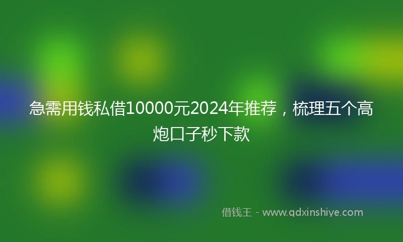 急需用钱私借10000元2024年推荐，梳理五个高炮口子秒下款