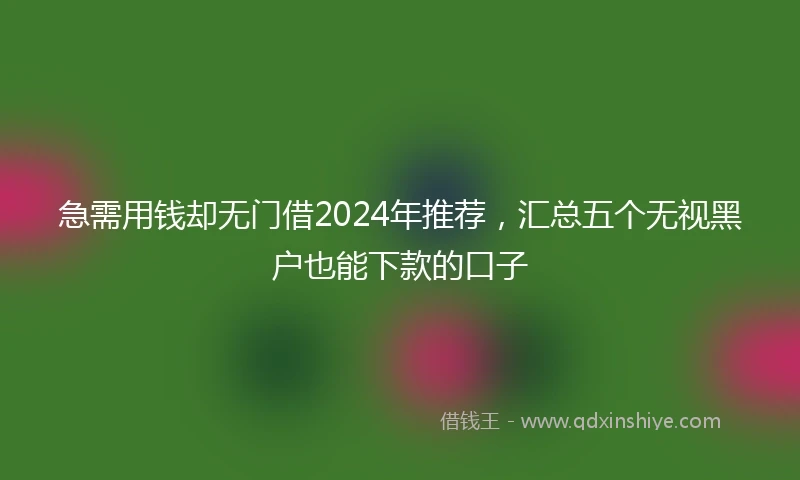 急需用钱却无门借2024年推荐，汇总五个无视黑户也能下款的口子