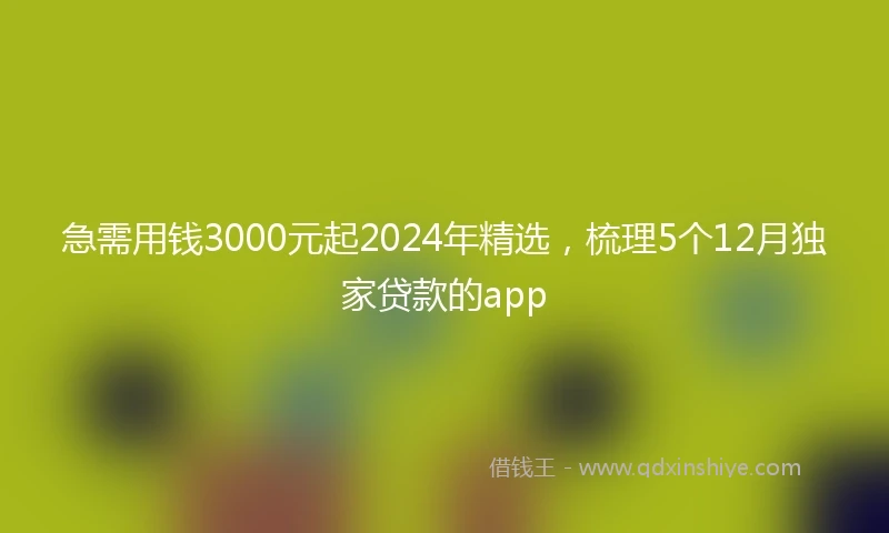 急需用钱3000元起2024年精选，梳理5个12月独家贷款的app