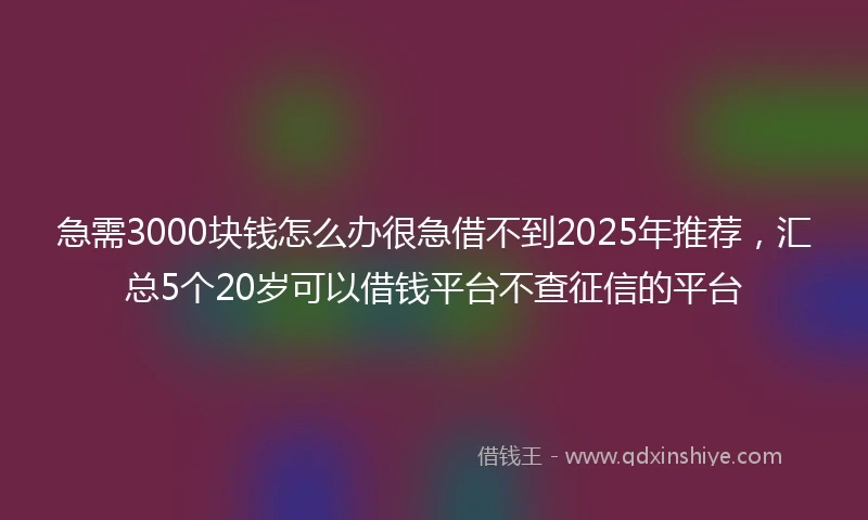 急需3000块钱怎么办很急借不到2025年推荐，汇总5个20岁可以借钱平台不查征信的平台