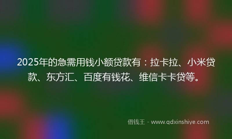2025年的急需用钱小额贷款有：拉卡拉、小米贷款、东方汇、百度有钱花、维信卡卡贷等。