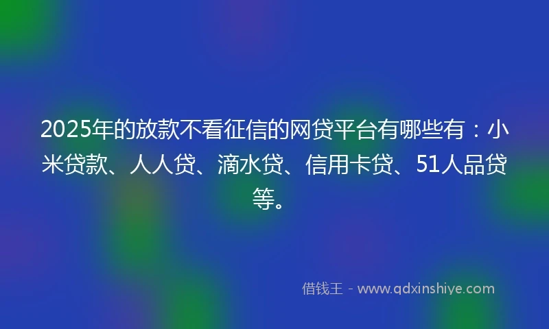 2025年的放款不看征信的网贷平台有哪些有：小米贷款、人人贷、滴水贷、信用卡贷、51人品贷等。