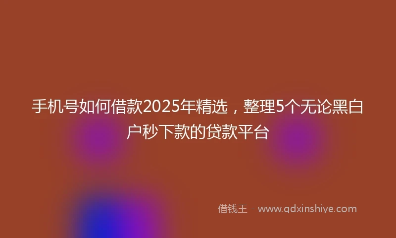 手机号如何借款2025年精选，整理5个无论黑白户秒下款的贷款平台
