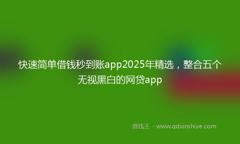 快速简单借钱秒到账app2025年精选，整合五个无视黑白的网贷app