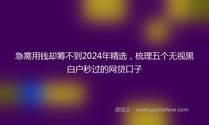 急需用钱却筹不到2024年精选，梳理五个无视黑白户秒过的网贷口子