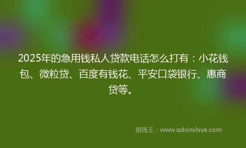 2025年的急用钱私人贷款电话怎么打有：小花钱包、微粒贷、百度有钱花、平安口袋银行、惠商贷等。