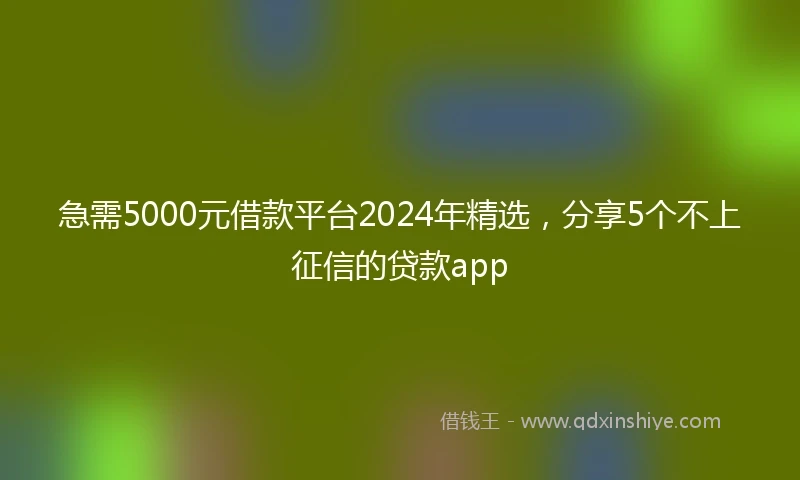 急需5000元借款平台2024年精选,分享5个不上征信的贷款app