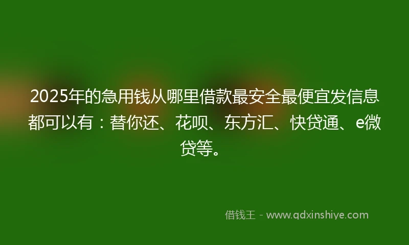 2025年的急用钱从哪里借款最安全最便宜发信息都可以有：替你还、花呗、东方汇、快贷通、e微贷等。