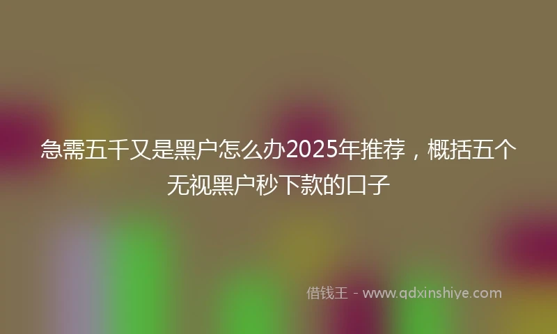 急需五千又是黑户怎么办2025年推荐，概括五个无视黑户秒下款的口子