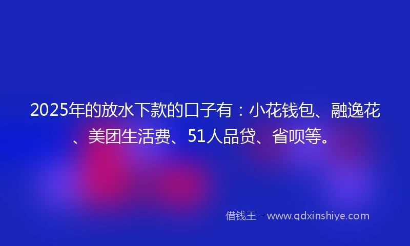 2025年的放水下款的口子有：小花钱包、融逸花、美团生活费、51人品贷、省呗等。