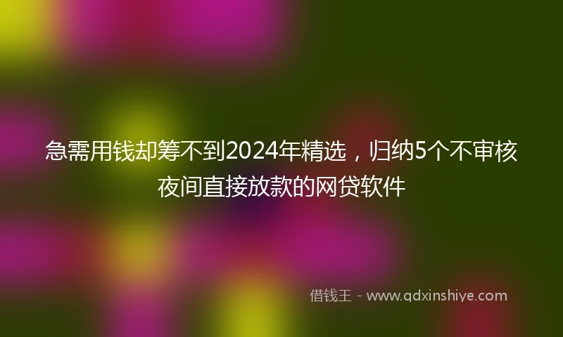 急需用钱却筹不到2024年精选，归纳5个不审核夜间直接放款的网贷软件