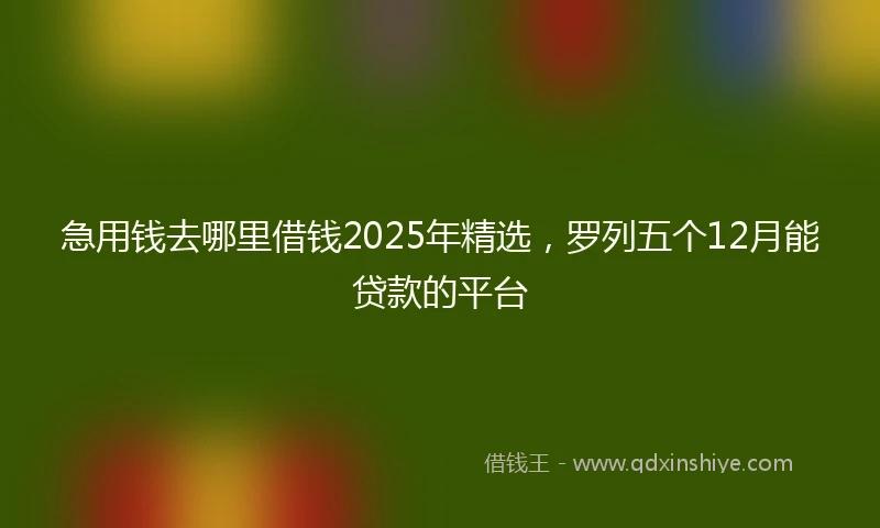 急用钱去哪里借钱2025年精选，罗列五个12月能贷款的平台