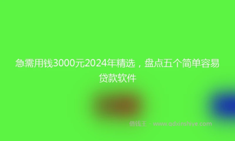 急需用钱3000元2024年精选，盘点五个简单容易贷款软件
