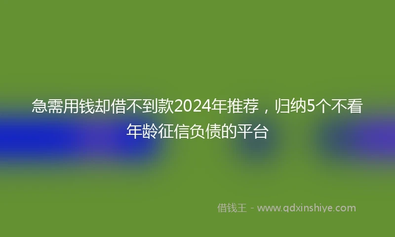 急需用钱却借不到款2024年推荐，归纳5个不看年龄征信负债的平台
