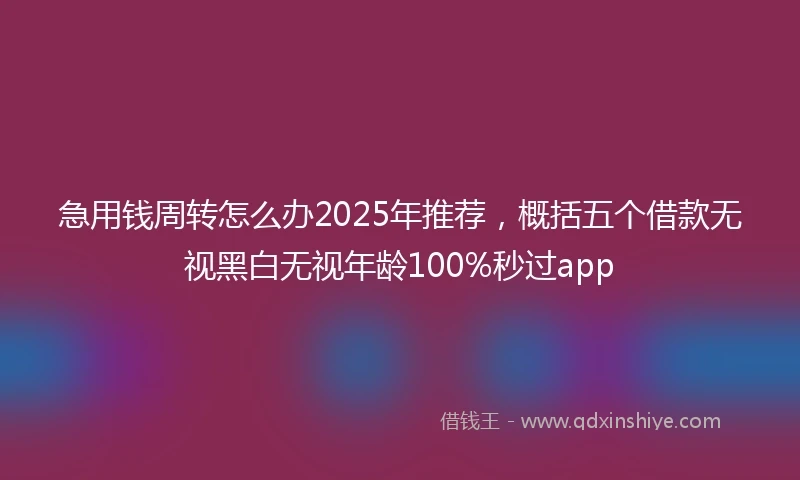 急用钱周转怎么办2025年推荐，概括五个借款无视黑白无视年龄100%秒过app