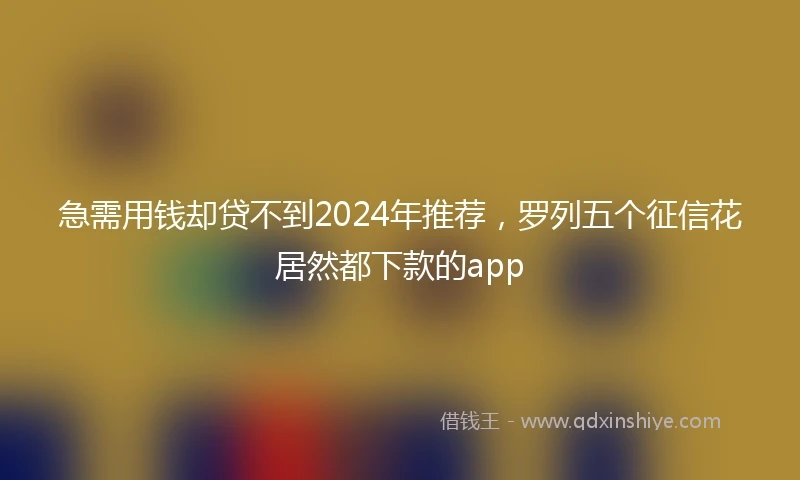 急需用钱却贷不到2024年推荐，罗列五个征信花居然都下款的app