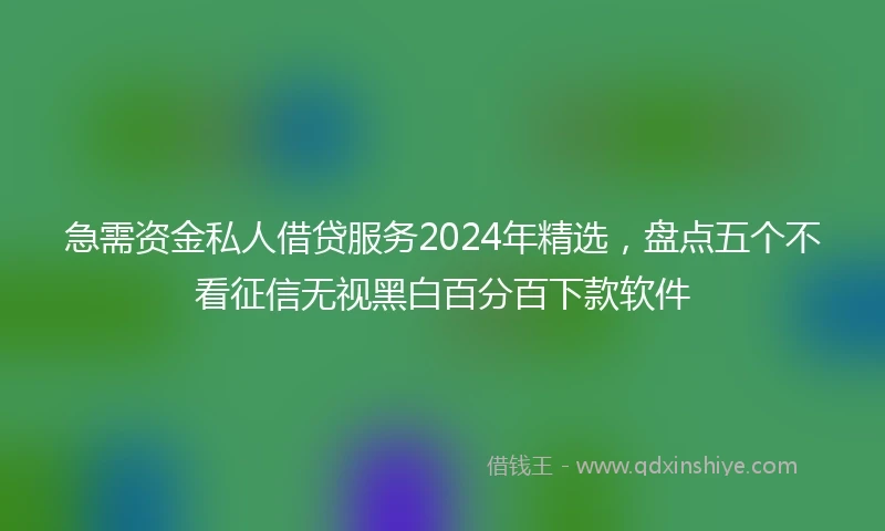 急需资金私人借贷服务2024年精选，盘点五个不看征信无视黑白百分百下款软件