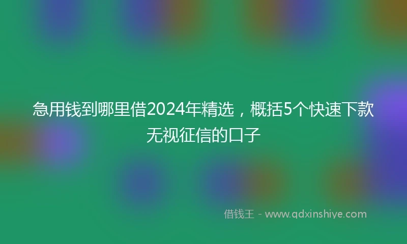 急用钱到哪里借2024年精选，概括5个快速下款无视征信的口子