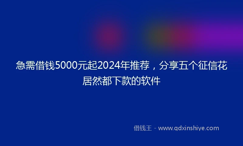 急需借钱5000元起2024年推荐，分享五个征信花居然都下款的软件