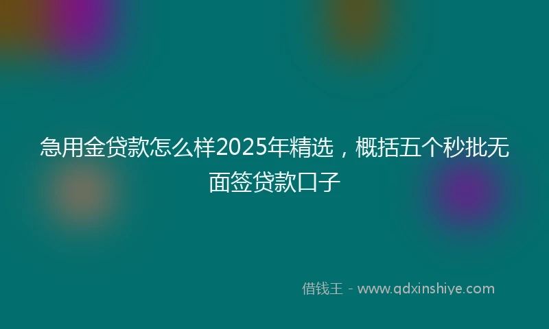 急用金贷款怎么样2025年精选,概括五个秒批无面签贷款口子
