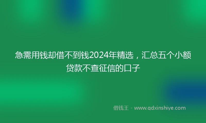 急需用钱却借不到钱2024年精选，汇总五个小额贷款不查征信的口子