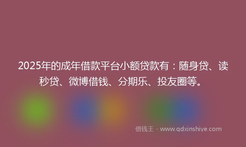 2025年的成年借款平台小额贷款有：随身贷、读秒贷、微博借钱、分期乐、投友圈等。