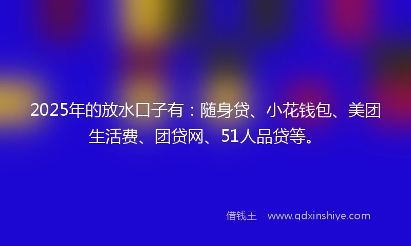 2025年的放水口子有：随身贷、小花钱包、美团生活费、团贷网、51人品贷等。