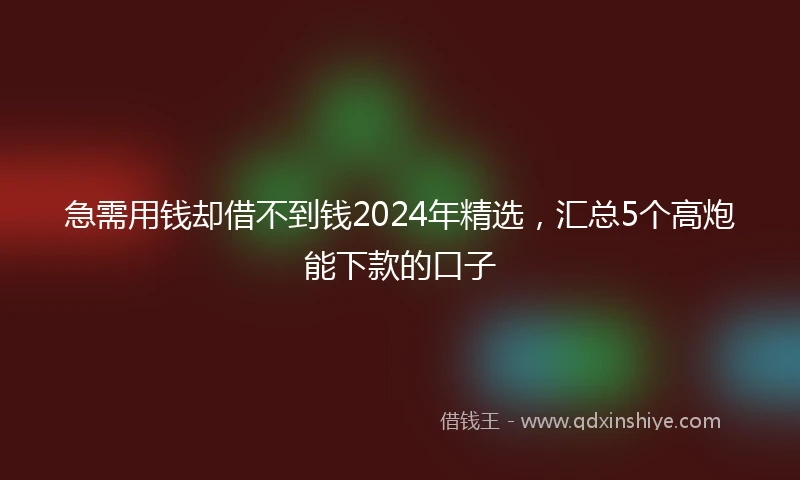 急需用钱却借不到钱2024年精选，汇总5个高炮能下款的口子