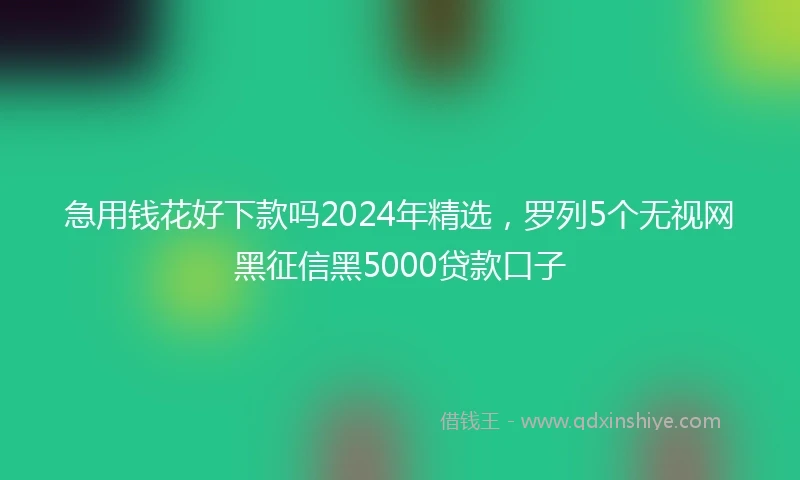 急用钱花好下款吗2024年精选，罗列5个无视网黑征信黑5000贷款口子