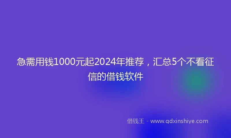 急需用钱1000元起2024年推荐，汇总5个不看征信的借钱软件