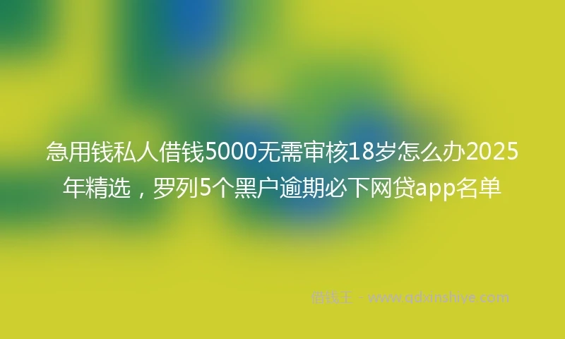 急用钱私人借钱5000无需审核18岁怎么办2025年精选，罗列5个黑户逾期必下网贷app名单