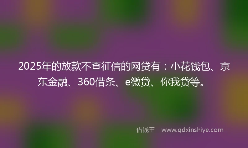 2025年的放款不查征信的网贷有：小花钱包、京东金融、360借条、e微贷、你我贷等。