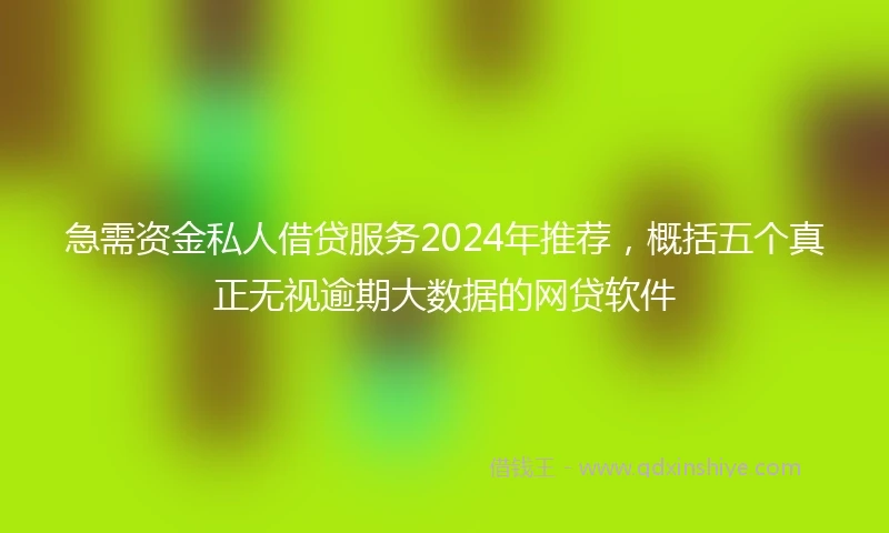 急需资金私人借贷服务2024年推荐，概括五个真正无视逾期大数据的网贷软件