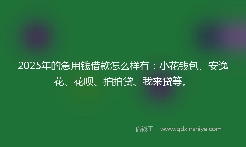 2025年的急用钱借款怎么样有：小花钱包、安逸花、花呗、拍拍贷、我来贷等。
