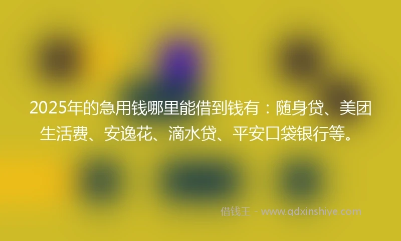 2025年的急用钱哪里能借到钱有：随身贷、美团生活费、安逸花、滴水贷、平安口袋银行等。