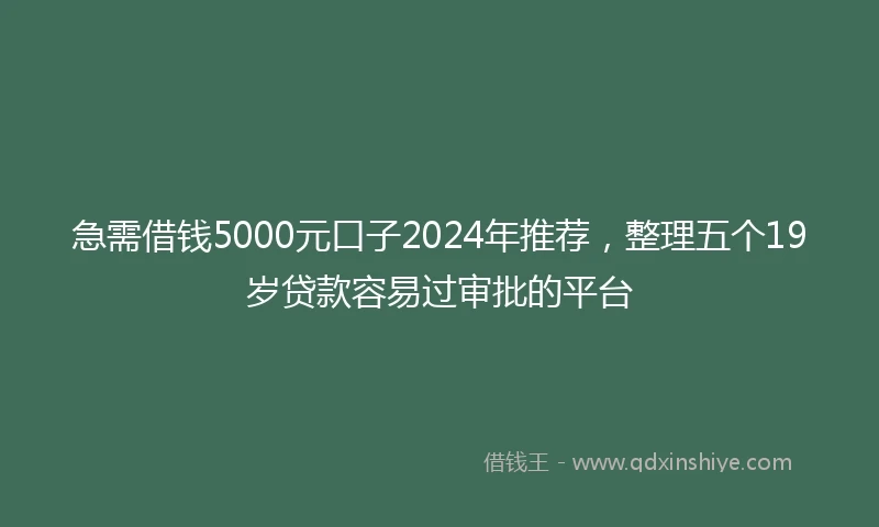 急需借钱5000元口子2024年推荐，整理五个19岁贷款容易过审批的平台