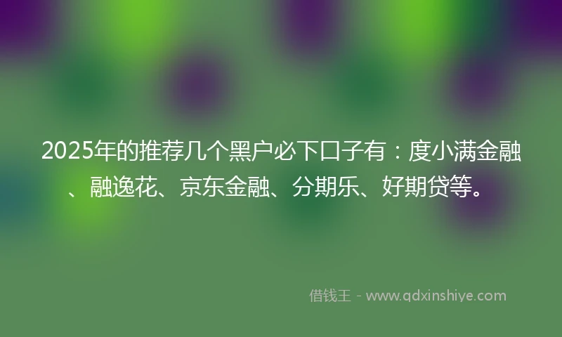 2025年的推荐几个黑户必下口子有：度小满金融、融逸花、京东金融、分期乐、好期贷等。