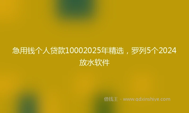 急用钱个人贷款10002025年精选，罗列5个2024放水软件