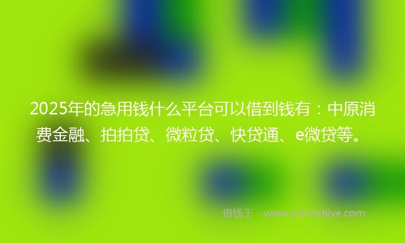 2025年的急用钱什么平台可以借到钱有：中原消费金融、拍拍贷、微粒贷、快贷通、e微贷等。