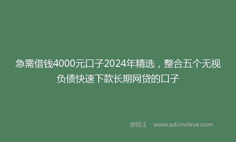 急需借钱4000元口子2024年精选，整合五个无视负债快速下款长期网贷的口子
